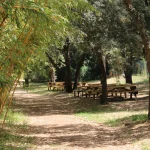 Aire de pique-nique ombragée du Jardin zoologique tropical à La Londe-les-Maures